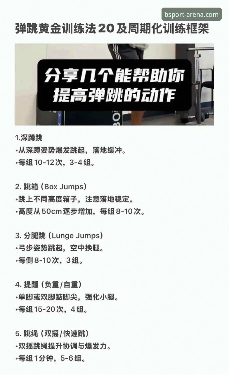 如何通过b体育使用教程快速掌握体育娱乐平台的实战技巧？